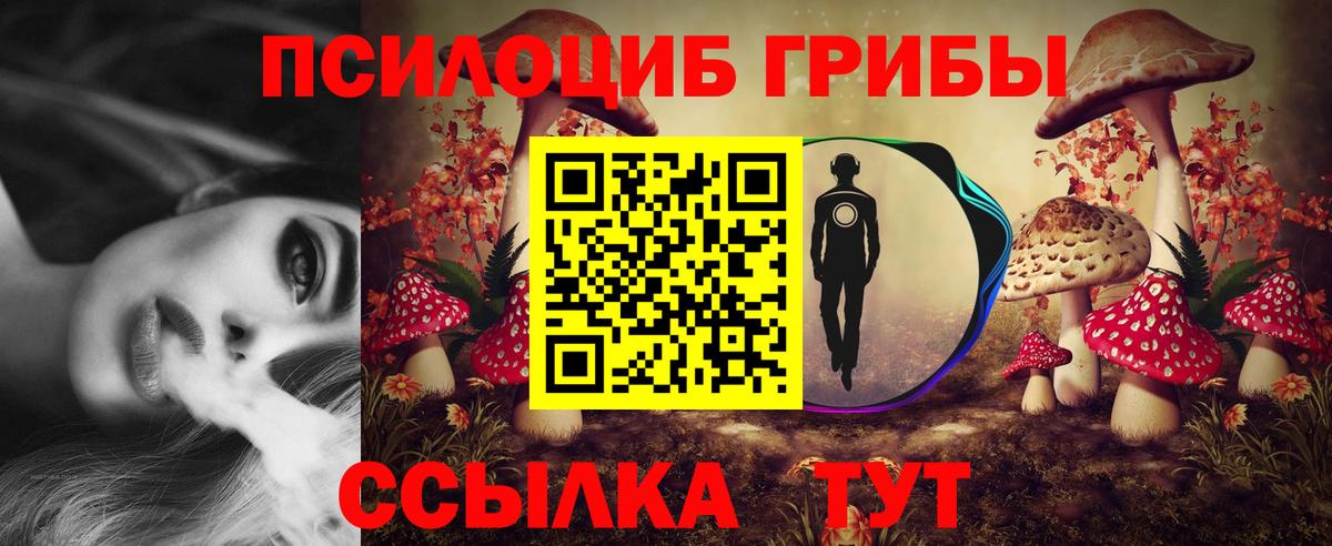 Псилоцибиновые грибы прущие грибы Нижний Новгород