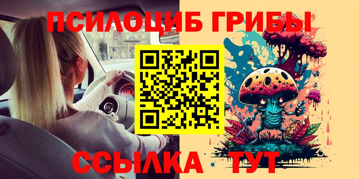 Псилоцибиновые грибы MAGIC MUSHROOMS  Вход с VPN  Нижний Новгород 